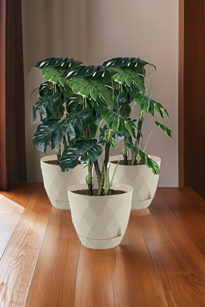 TEMMUZ HOME No 6 3 Adet 15 Litre Prizma Desenli Tabaklı Plastik Saksı Yakamoz