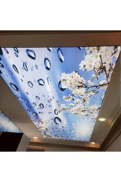 Genel Markalar Yatak Odası Gergi Tavan Çeşitleri, Renkli ve Şık Tasarımlar