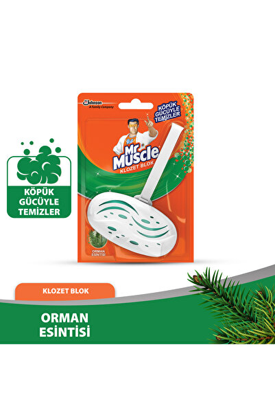 Mr. Muscle Klozet Blok Tuvalet Temizleyici Orman Esintisi 40 g