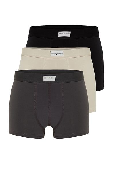 Trendyol Collection Συσκευασία 3 πολύχρωμα βαμβακερά μπόξερ - Basic Rubber με ετικέτα TMNSS24BX00002
