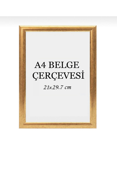 Serita 33x48 Belge Evrak Poster Resim Fotoğraf Avukatlık Ruhsatnamesi Çerçevesi