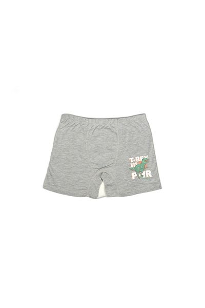 YAADE BOY 3 PIECES PRINTED BOXER SHORTS