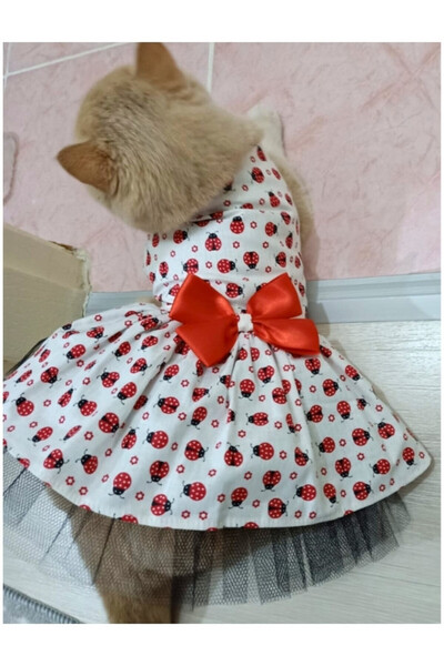 Gobo فستان للقطط والكلاب بطبعة الخنفساء بشريط أحمر، مقاس متوسط M 2