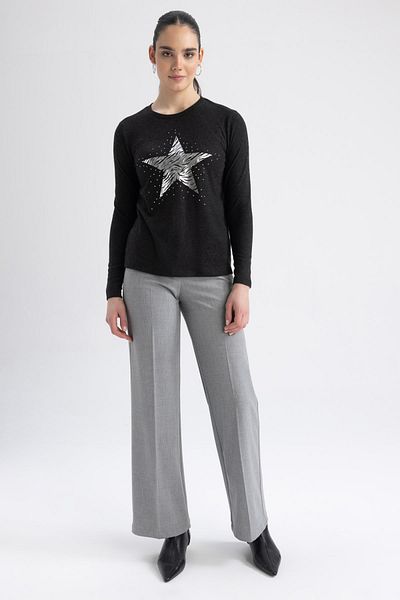 DeFacto Traditional Regular Fit Crew Neck Star Pattern Long Sleeve T-Shirt Z1505az22au