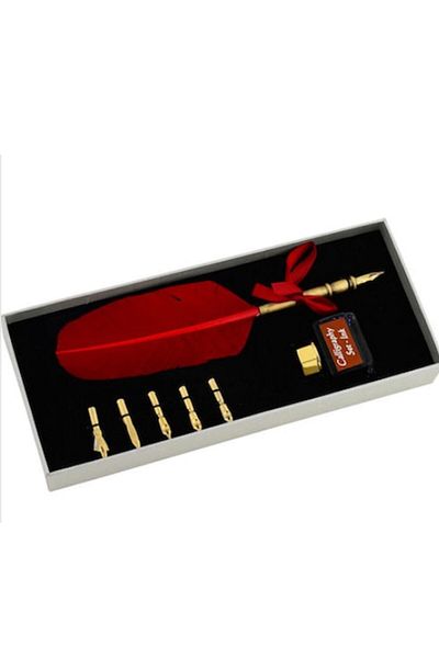 PİGADO Steel Pen Feather Dip Pen Set Calligraphy Pen