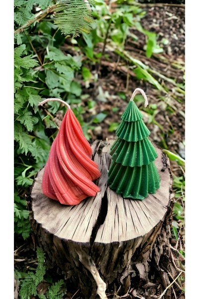 candleistanbul Spiral dikenli çam agaç ları kokulu mum 2 li soya parafin