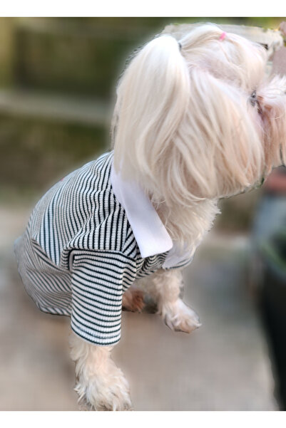 PETITE Polo Yaka Köpek Kıyafeti Siyah Çizgili