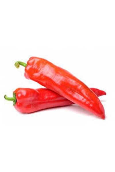 Köy Tohumları 200 Adet Tohum Organik  Acı Samandağ Biberi Tohumu Köy Ata Tohum