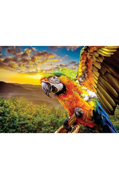 Nova Puzzle 1000 Piece Macav American Parrot Puzzle