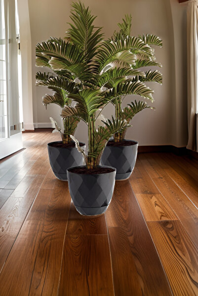 TEMMUZ HOME No5 3 Adet 9,2 Litre Prizma Desenli Tabaklı Plastik Saksı Yakamoz...