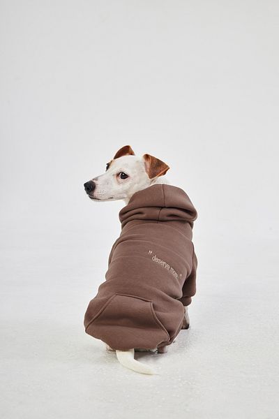 JIMI FOR ALL Pet Sweatshirt - Brown Embroidered