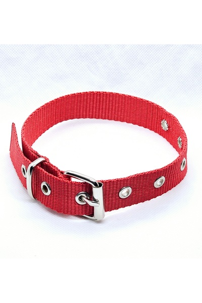 hebmeyy Köpek tasması, özel dokulu köpek tasması