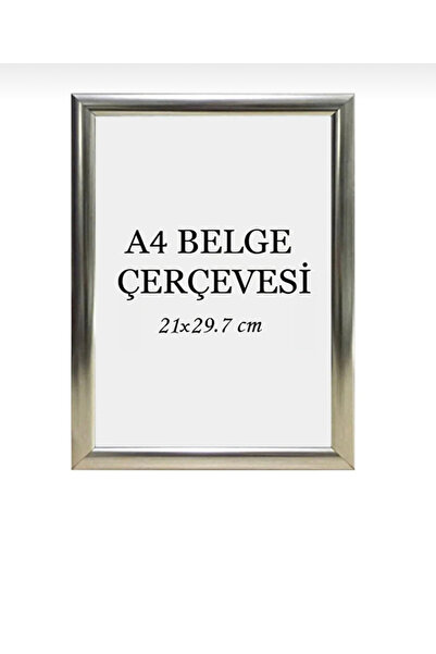 Serita 33x48 Belge Evrak Poster Resim Fotoğraf Avukatlık Ruhsatnamesi Çerçevesi