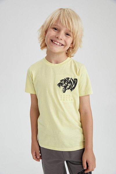 DeFacto Boy's Crew Neck Short Sleeve T-Shirt