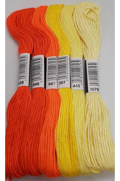 ALMİŞ 6 Pieces Muline Cross 8 Meters 6 Layers Different Colors Cross Stitch Embroidery Rococo Thread