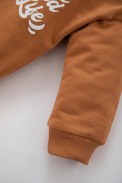 DeFacto Baby Boy Printed Sweatshirt Shorts 2-Piece Set Z1953a223sm