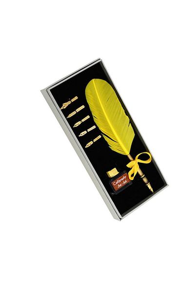 PİGADO Steel Pen Feather Dip Pen Set Calligraphy Pen
