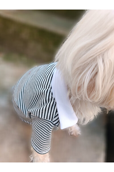 PETITE Polo Yaka Köpek Kıyafeti Siyah Çizgili