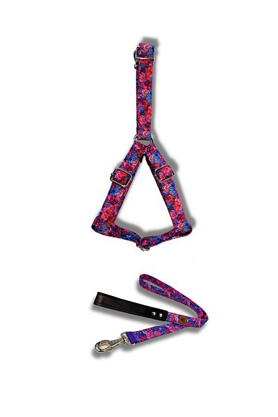 UTDpet Lilac Dog Collar and Travel Dispatch Strap Set
