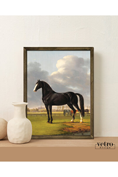 Vetro Design Εικόνα με κορνίζα με αλόγα vintage