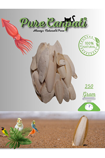 PureCanpati Mürekkep Balığı Kalamar Kemiği 250gr Kırıklı Ve Ufak Boy Kalamar ...