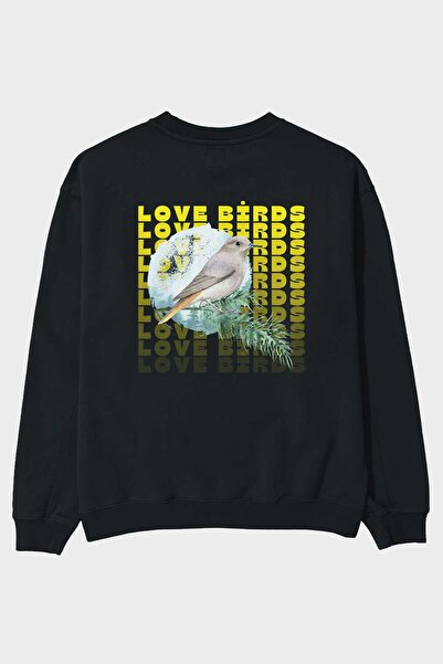 Ankhises Love Birds з написом на спині Чорний оверсайз-светр з велосипедним к...