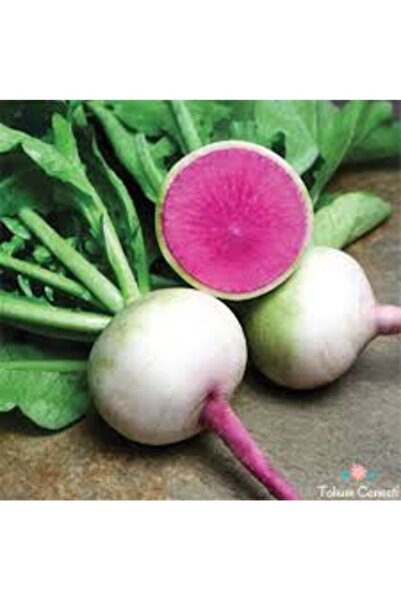 Köy Tohumları 50 Adet Tohum Organik Beyaz İçi Kırmızı Şalgam Turp Tohumu Taze...