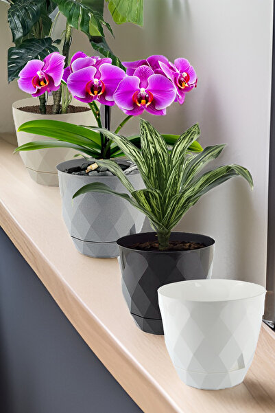 TEMMUZ HOME No 3 Orta Boy 4 Adet 4 Renkli Baklava Desenli Tabaklı Plastik Saksı Yakamoz 2,4 Lt