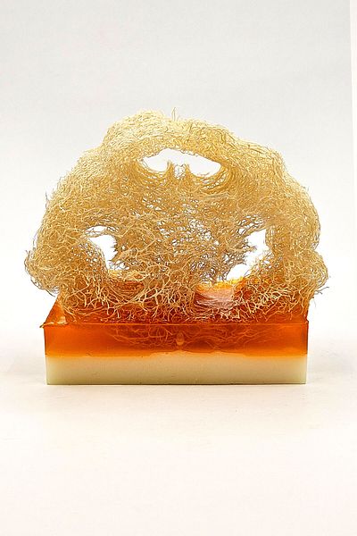 FANTASTİK SANAT ATÖLYESİ Natural Pumpkin Fiber Honey Extract Soap - 100 gr