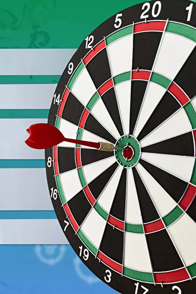 Genel Markalar Dart Seti 43 Cm (17 İnç) Büyük Boy + 4 Dart Oku (18 Gr) Hedef Tahtası Eğlence Seti