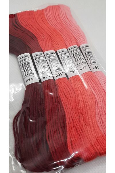 ALMİŞ 6 Pieces Muline Cross 8 M 6 Layers Different Color Cross Stitch Embroidery Rococo Thread 814 894