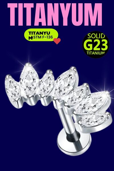 Luckshery G23 Titanyum Labret Taç Zirkon Kulak Piercing Helix Tragus Kıkırdak...