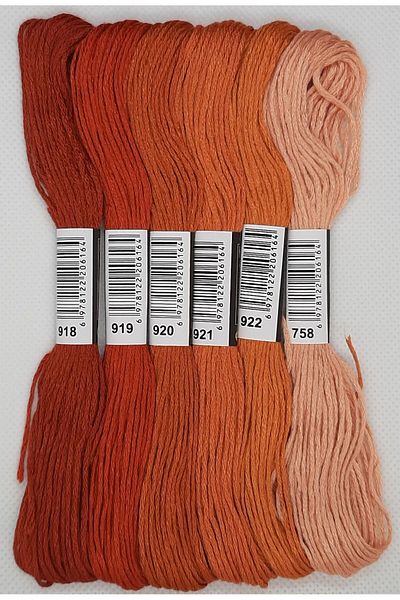 ALMİŞ 6 Pieces Cross Stitch 8 Meters 6 Layers Different Color Cross Stitch Embroidery Rococo Thread-918 758