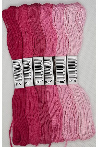 ALMİŞ 6 Pieces Cross Stitch 8 Meters 6 Layers Different Colors Cross Stitch Embroidery Rococo Thread-915 3609