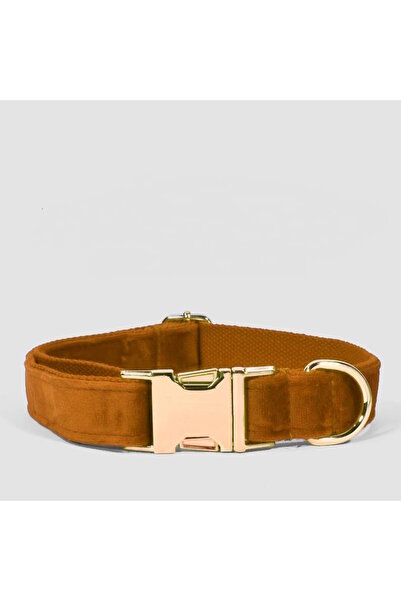 Pawsim طقم طوق للكلاب من المخمل الخردل وحزام للمشي، طوق للكلاب قابل للتعديل، طوق بإبزيم معدني