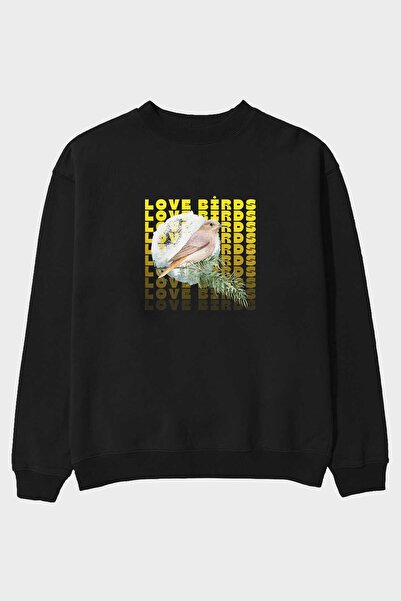 Ankhises Love Birds з написом, чорний оверсайз-светр з велосипедним коміром д...