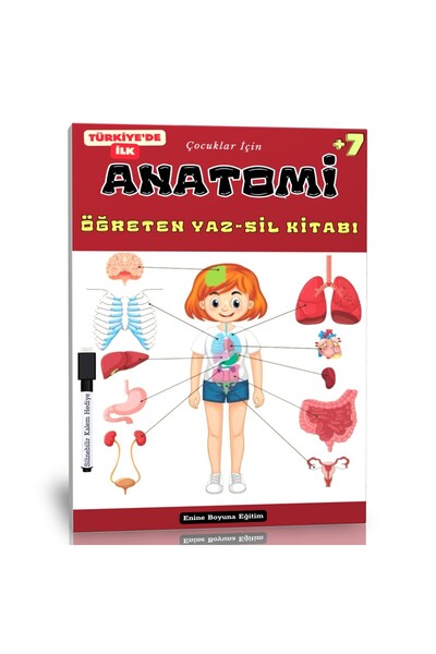 Enine Boyuna Eğitim Anatomy Teaching Summer-Wipes Book for Children