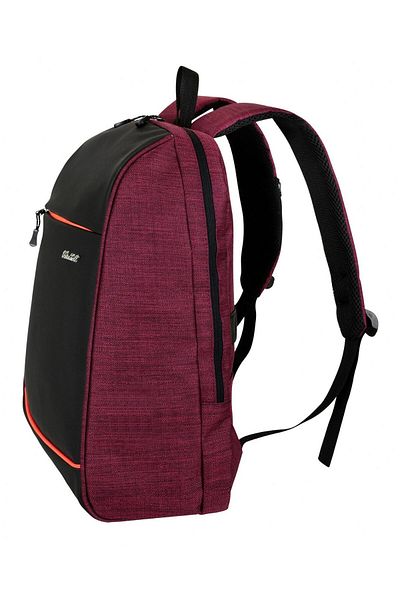 Puzmo WDL Bag Red Three Compartment Laptop Tablet Notebook Backpack (Hidden Pocket Suitcase with Hanger)