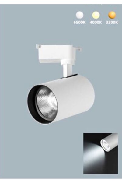 ALLES 30W BEYAZ KASA RAY SPOT GÜNIŞIĞI - PARİS