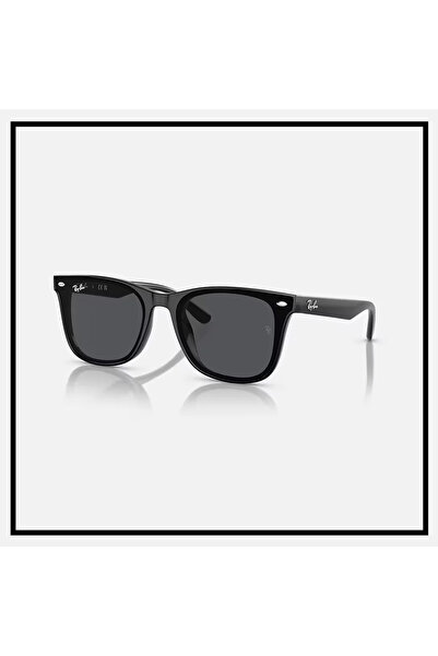 Ray-Ban Rayban RB4420 60187 65 Güneş Gözlüğü