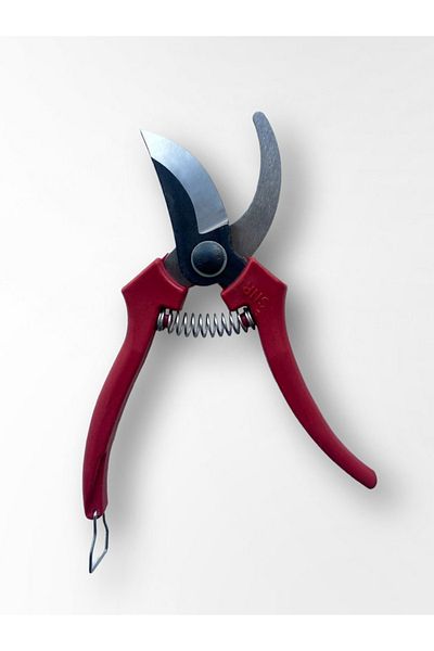 prestige store ligature scissors branch scissors