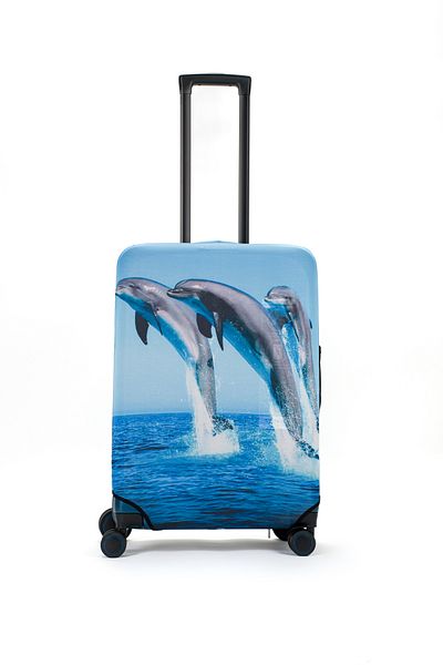 BAGzy Dolphins Medium Size Luggage Case