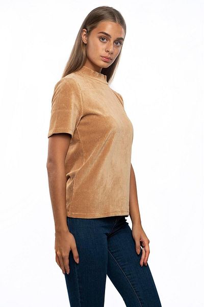 Miss Murem Stand Collar Velvet Blouse-biscuvi