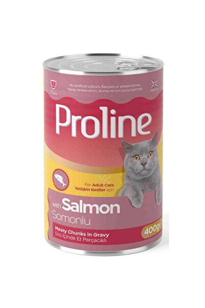 Pro Line Somonlu Gravy Yetişkin Kedi Konserve Maması 400 Gr