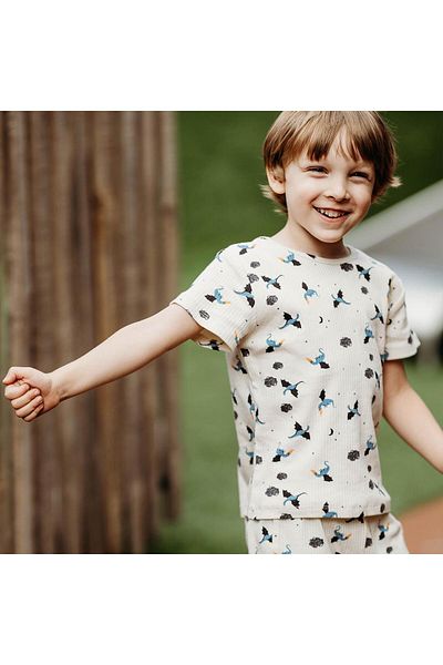 Antebies Short Sleeve Dragon Pajama Set