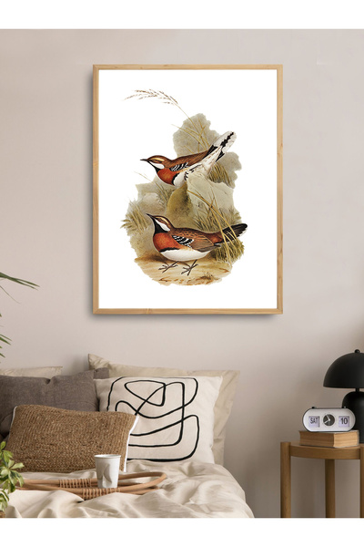 Dekorsiahome Комплект картини с дървена рамка от едно парче cinclosoma