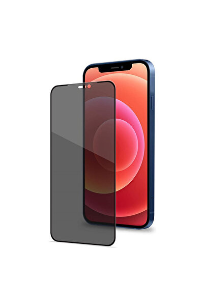 Nettech İphone 12 Mini Uyumlu Hayalet Full Cam Koruyucu