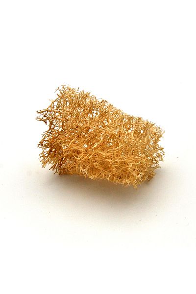 xdeonss Dish Washcloth 100% Natural Pumpkin Washcloth Dish Sink Cleaning