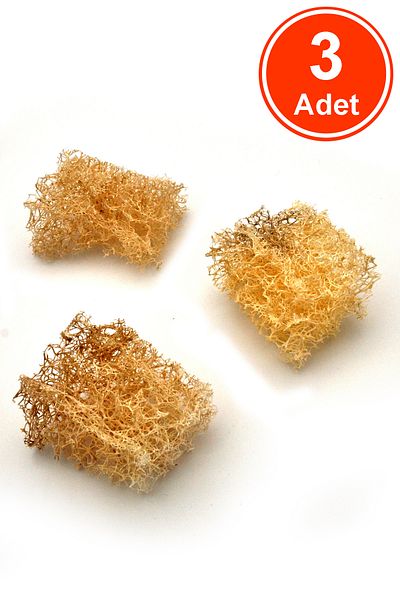 xdeonss 3 Pieces X Dish Fiber 100% Natural Pumpkin Fiber
