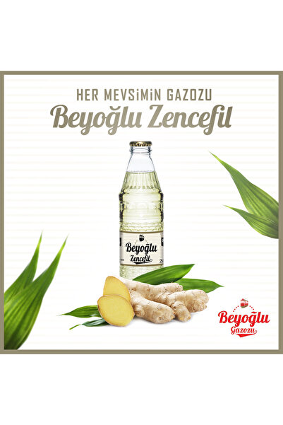 Beyoğlu Gazozu Zencefilli 250 Ml X 6 Adet